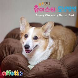 아페토 - 보니 츄이스티 XL (초코)
