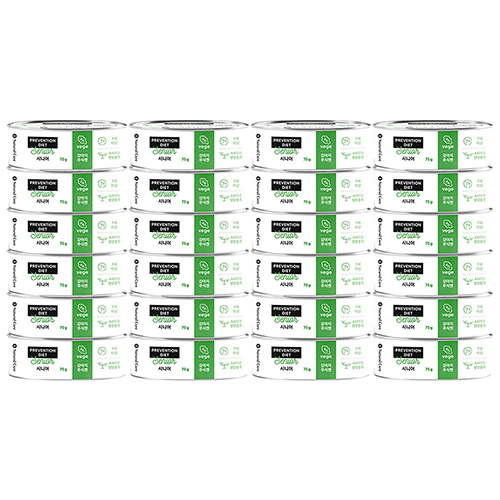 네츄럴코어 - 강아지 주식 베지 캔 시니어 75g x 24개 묶음셋트
