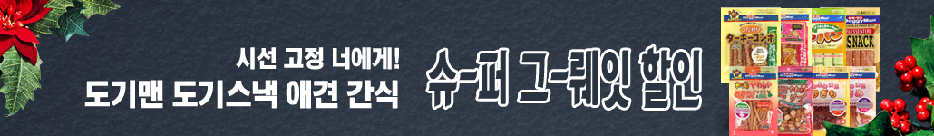 도기맨 행사