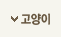 고양이 용품